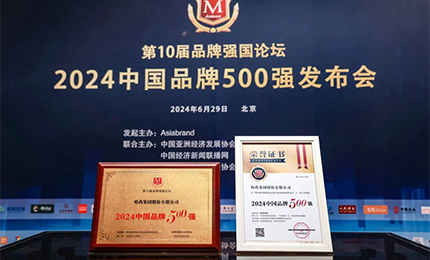 【逐梦新时代，品牌赢未来】人生就是搏中国区品牌荣登中国品牌500强