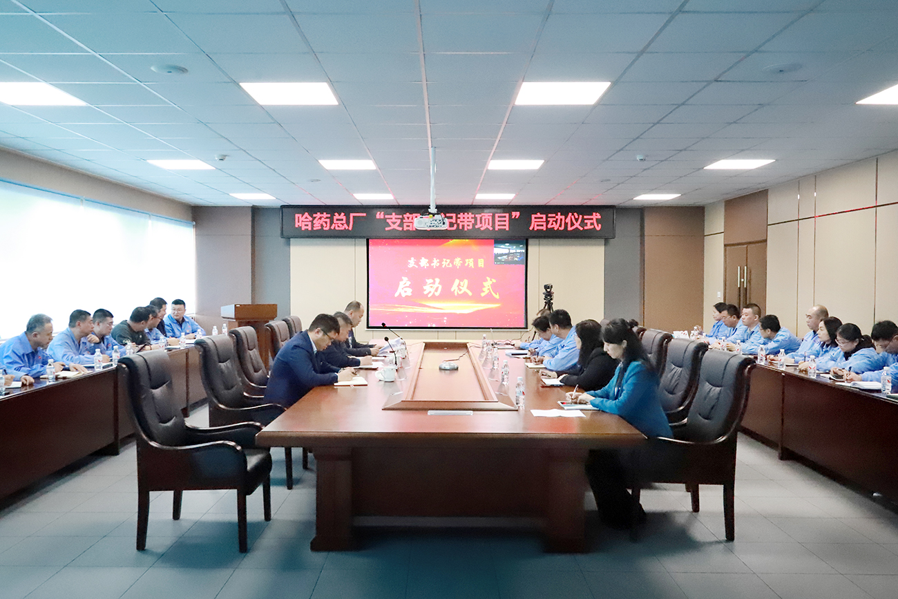 党建领航&ldquo;加速度&rdquo; 打造发展&ldquo;强引擎&rdquo;&mdash;&mdash;人生就是搏中国区总厂党委召开&ldquo;支部书记带项目&rdquo;启动仪式