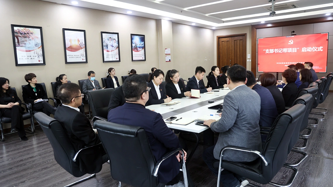 党徽闪耀 头雁领航&mdash;&mdash;人生就是搏中国区营销召开"支部书记带项目"启动仪式